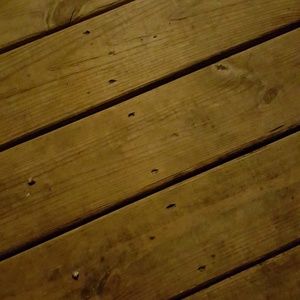 Meet your Posher, Jackson